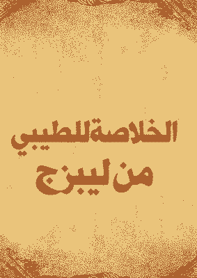 غلاف الخلاصة للطيبي من ليبزج