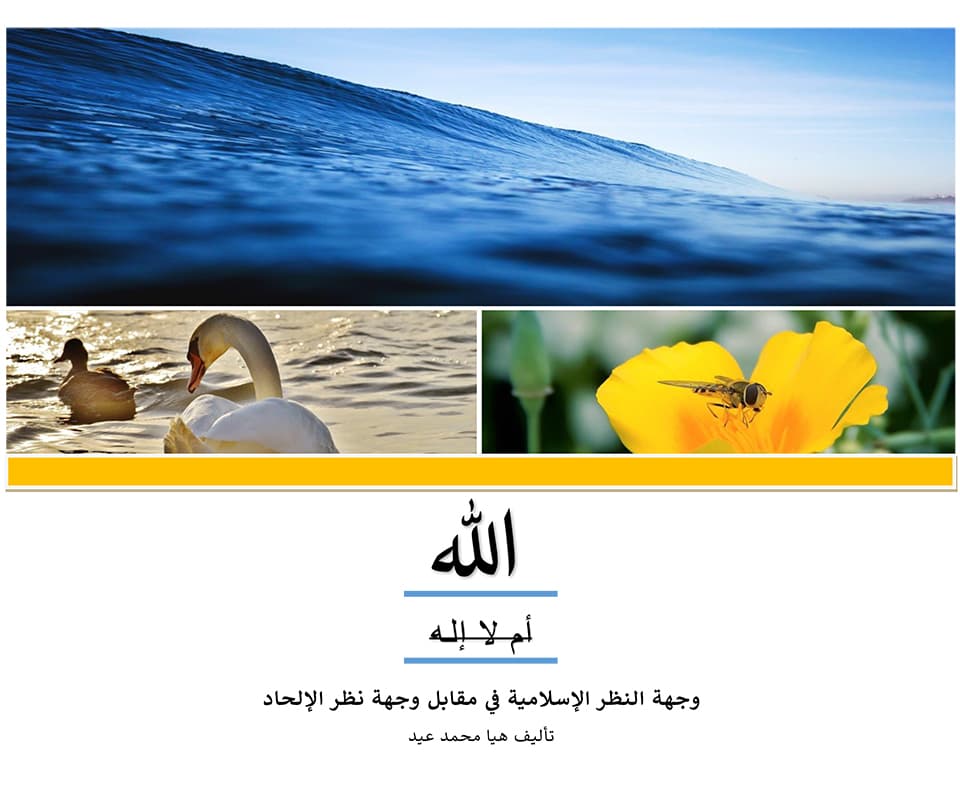 غلاف الله أم لا إله (وجهة النظر الإسلامية في مقابل وجهة نظر الإلحاد)